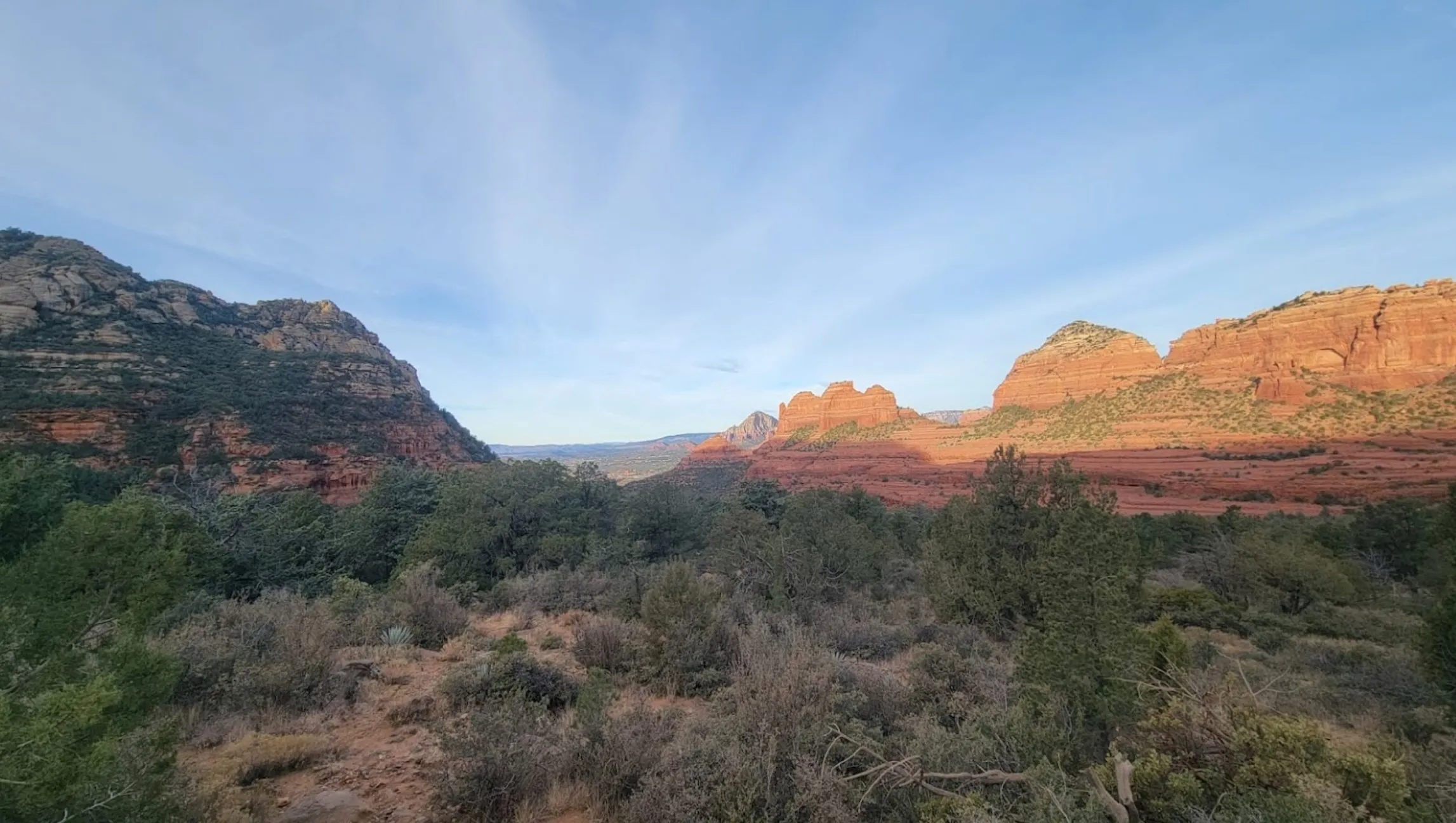 Mountain View 14