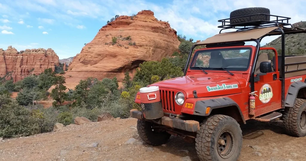 Activities 2 Wildlife Safari Jeep Tour