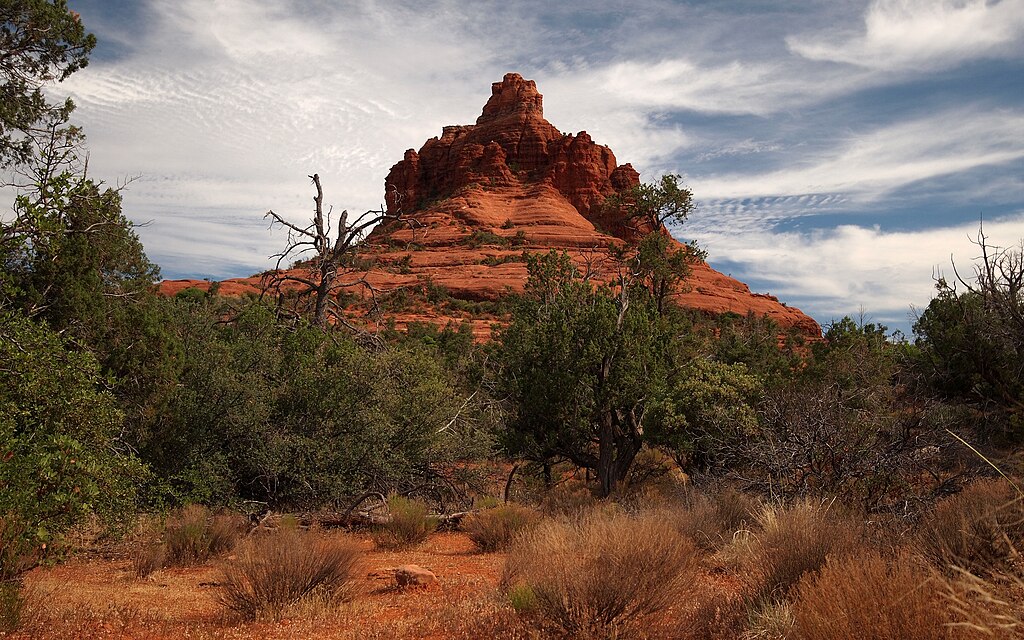 Activities 6 Diamondback Gulch Jeep Tour 15 Off