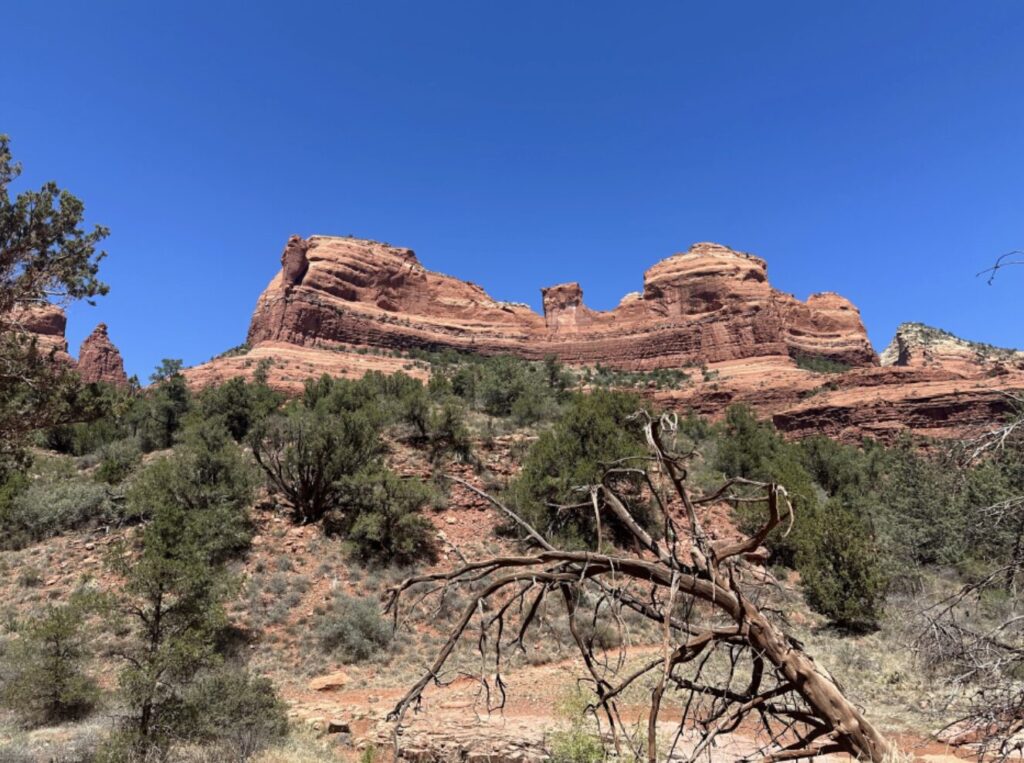 Safari Jeep Tours: Discover Arizona's Most Peaceful Destination on Four Wheels 2 Peaceful Destination