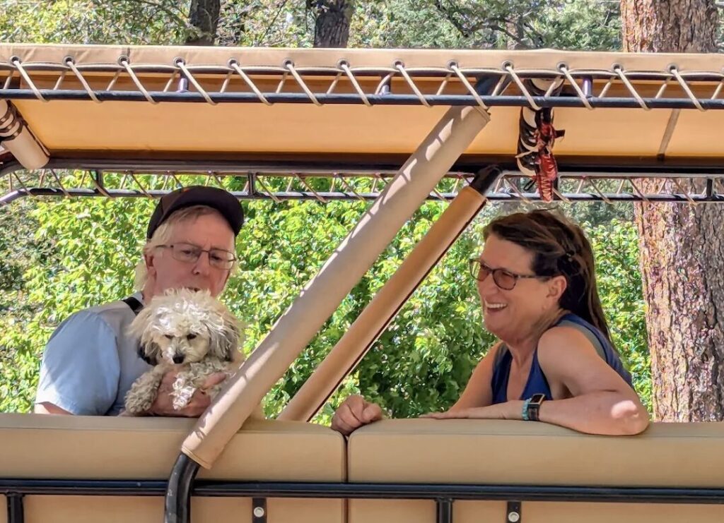 Pet-Friendly Adventures in Sedona: Are Jeep Tours an Option? 1 jeep tours