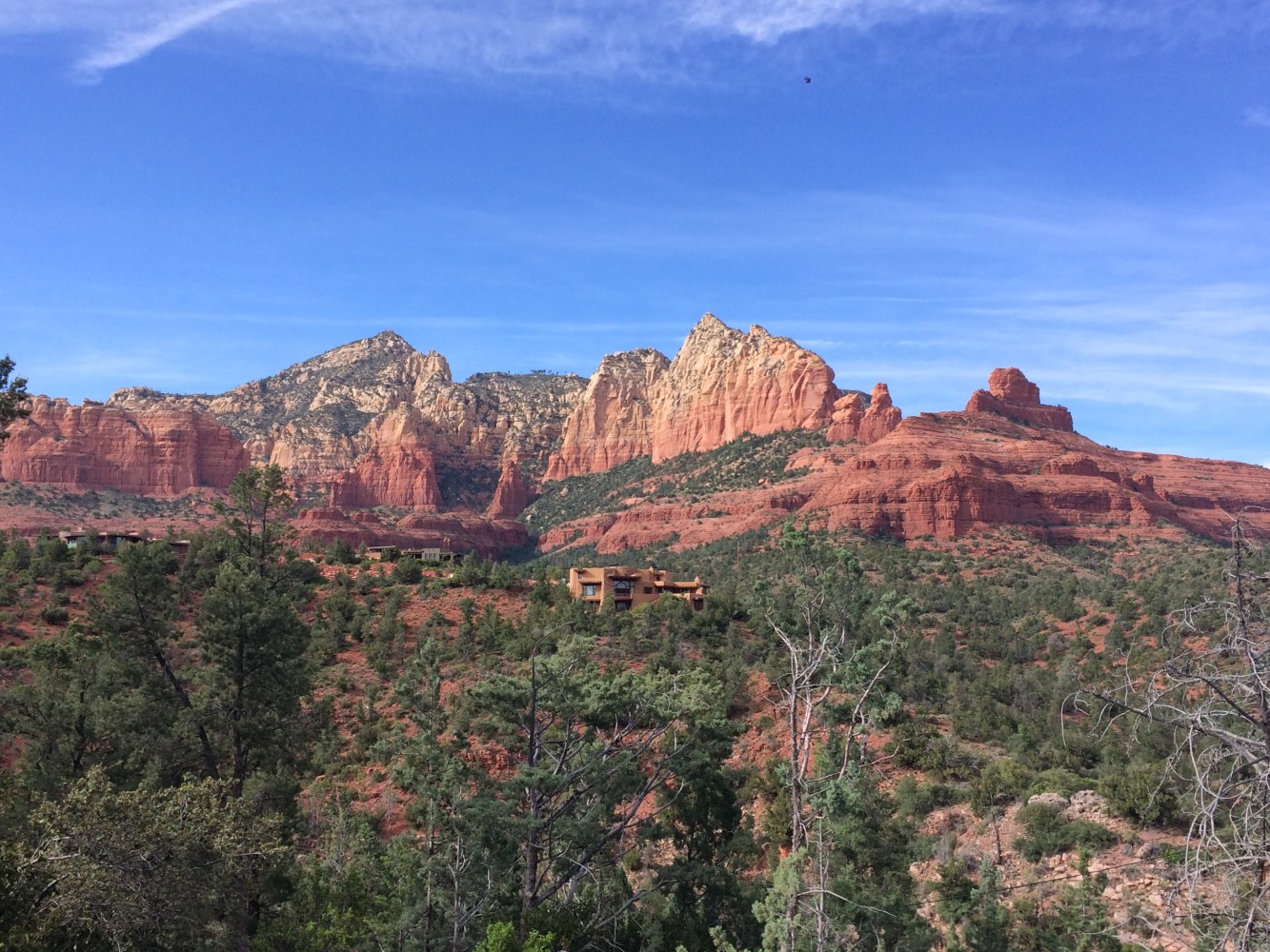 Vibrant red rock formations under a clear blue sky, Sedona's stunning landscape, sun casting warm shadows, cacti and desert vegetation